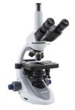 Kính hiển vi soi thẳng VisiScope® 254