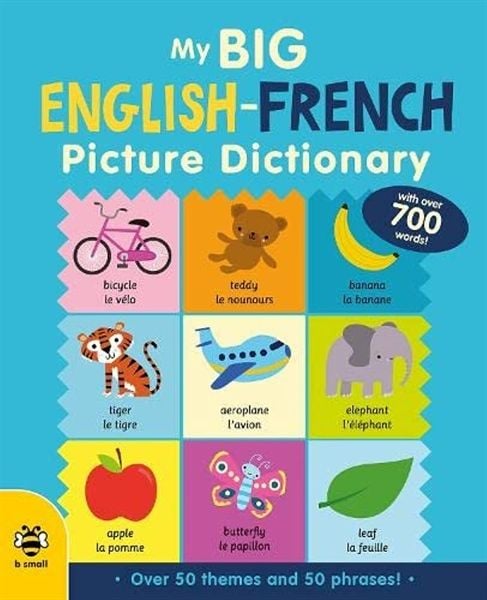 Big Picture Dictionaries: My Big English-French Picture Dictionary (Se