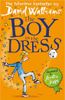  The Boy In The Dress 