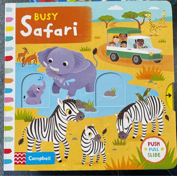  Busy Safari 