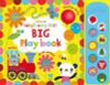  BVF Big Play Book 