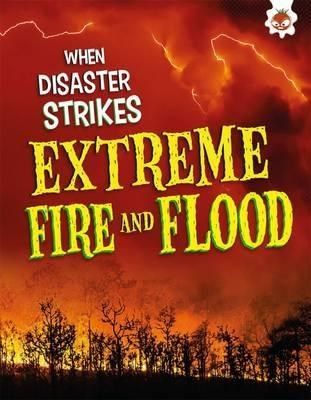  WHEN DISASTER STRIKES:FIRE FLOOD 