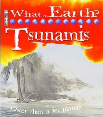  What on Earth Tsunamis 