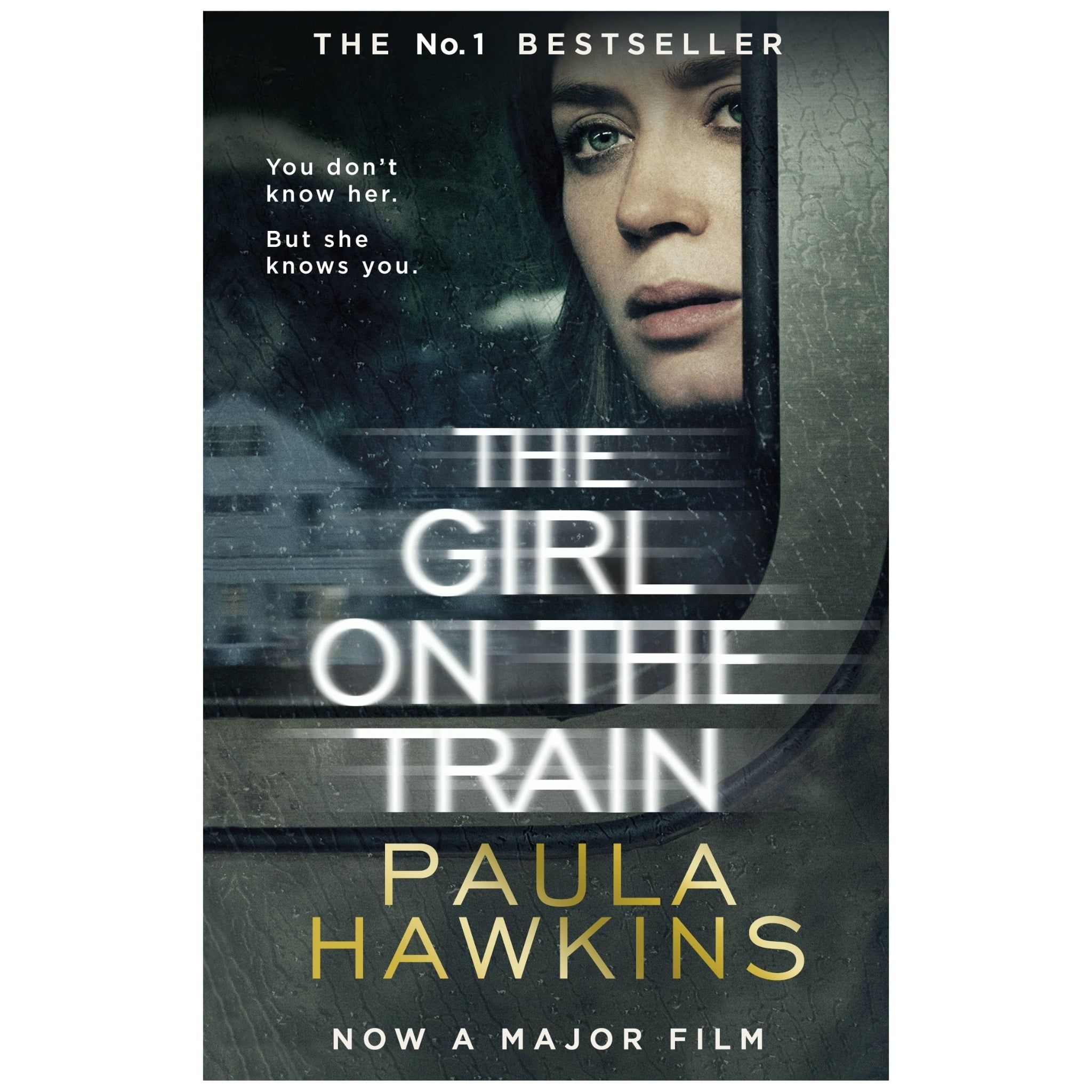  The Girl on the Train 