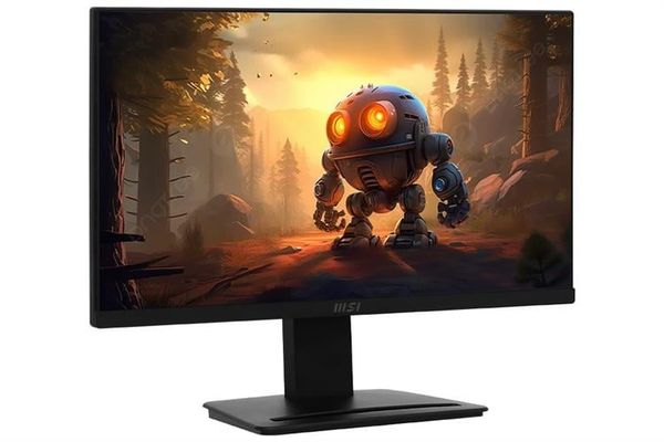 Màn hình LCD MSI PRO MP223 E2 (1920x1080, VA, 100Hz, 4ms, Full Viền)