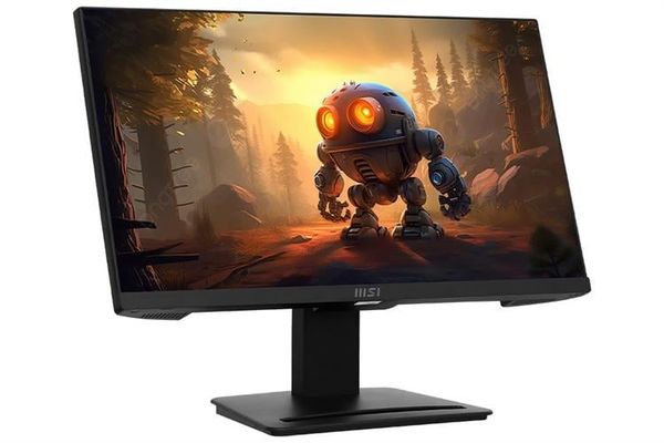 Màn hình LCD MSI PRO MP223 E2 (1920x1080, VA, 100Hz, 4ms, Full Viền)