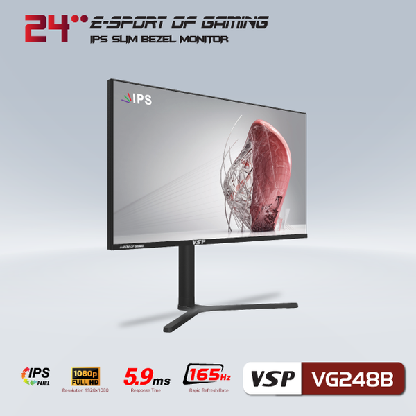 Màn hình LCD 24 inch VSP VG248B Gaming (FHD, 165Hz, IPS, 5.9Ms)