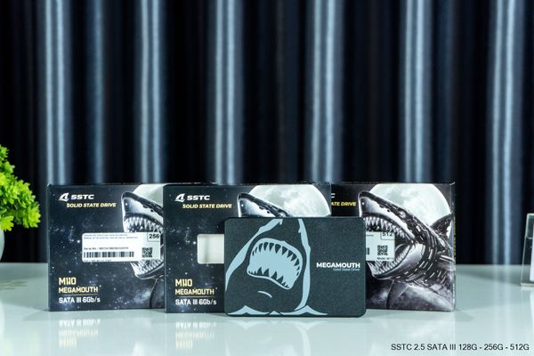 Ổ cứng SSD SSTC Megamouth M110 256GB SATA III - Chính hãng
