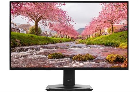 Màn hình LCD MSI PRO MP251 E2 24.5