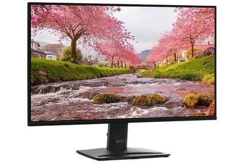 Màn hình LCD MSI PRO MP251 E2 24.5