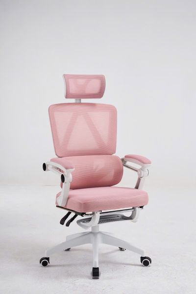 Ghế công thái học CTH899-G