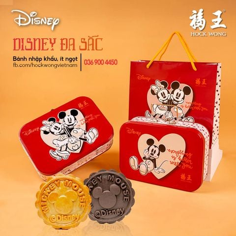  Lễ Hộp Disney Đa Sắc Hiện Đại 