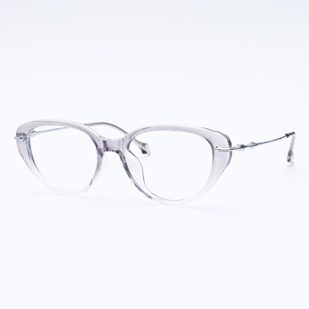 Gọng kính FLEXI 22847