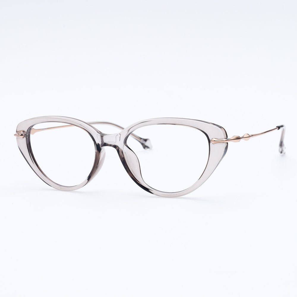 Gọng kính FLEXI 22847