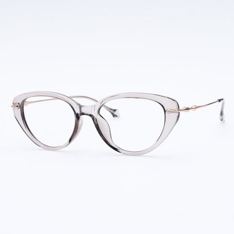 Gọng kính FLEXI 22847