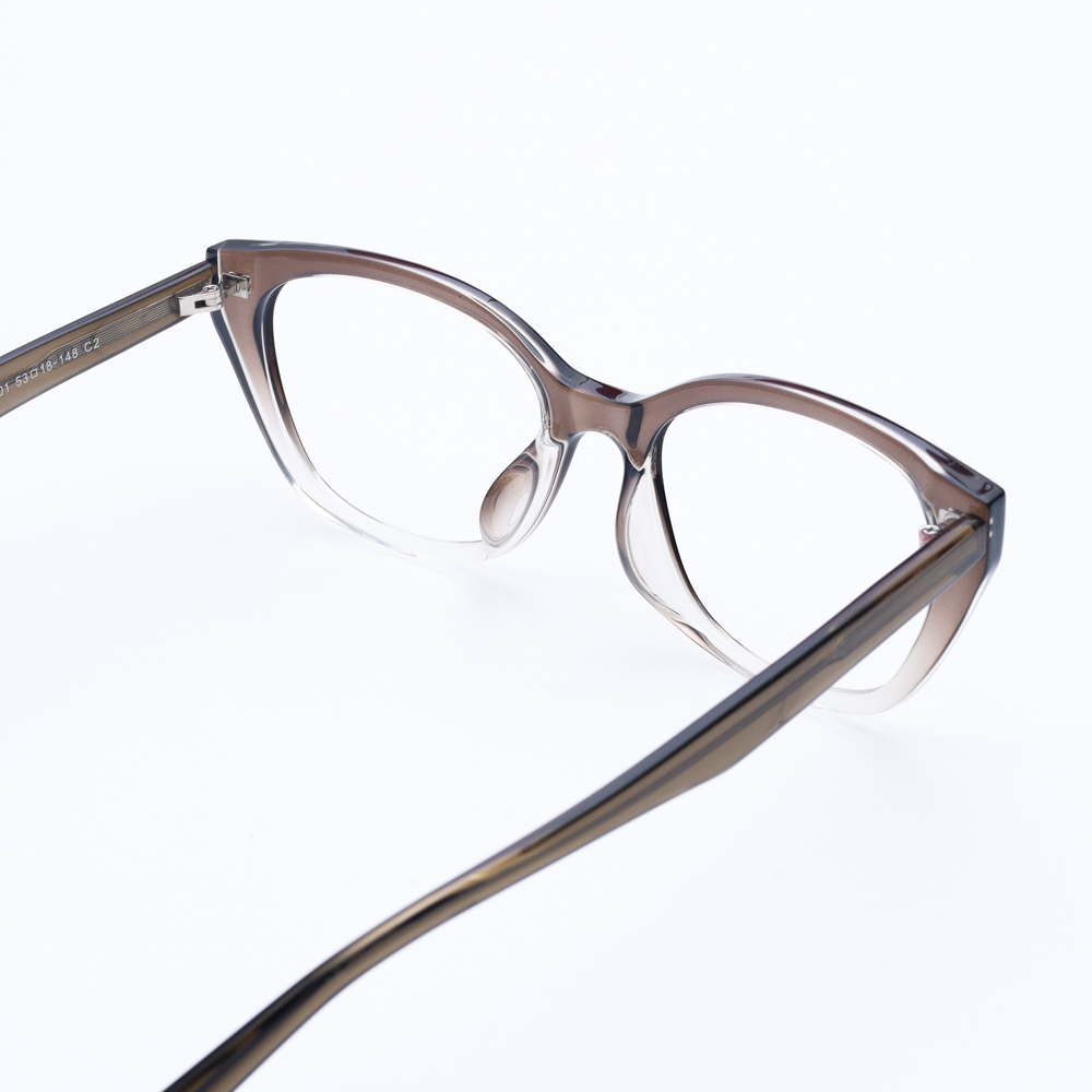 Gọng kính FLEXI 22901