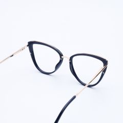 Gọng kính 87095