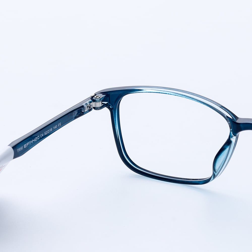 Gọng kính Exfash EF14420