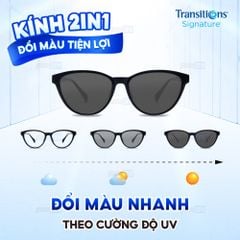 Tròng kính đổi màu Essilor Transition Classic 1.60 - Xám Khói