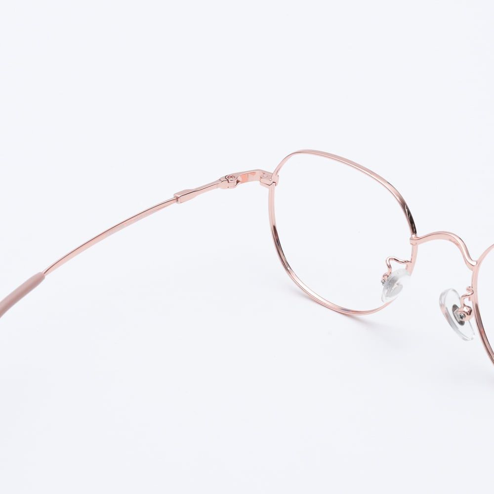 Gọng kính FLEXI FX4319M