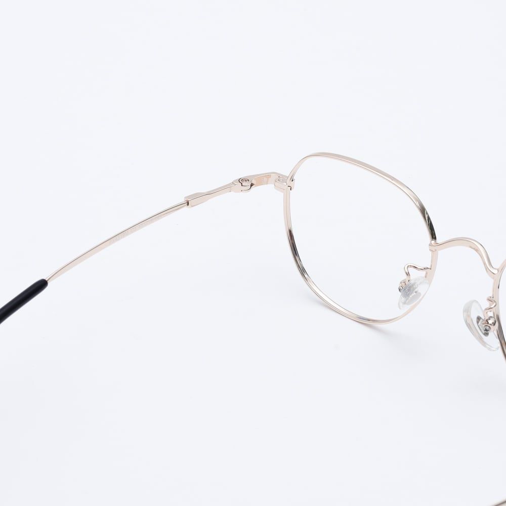 Gọng kính FLEXI FX4319M