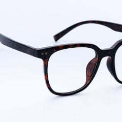 Gọng kính FLEXI FX5348