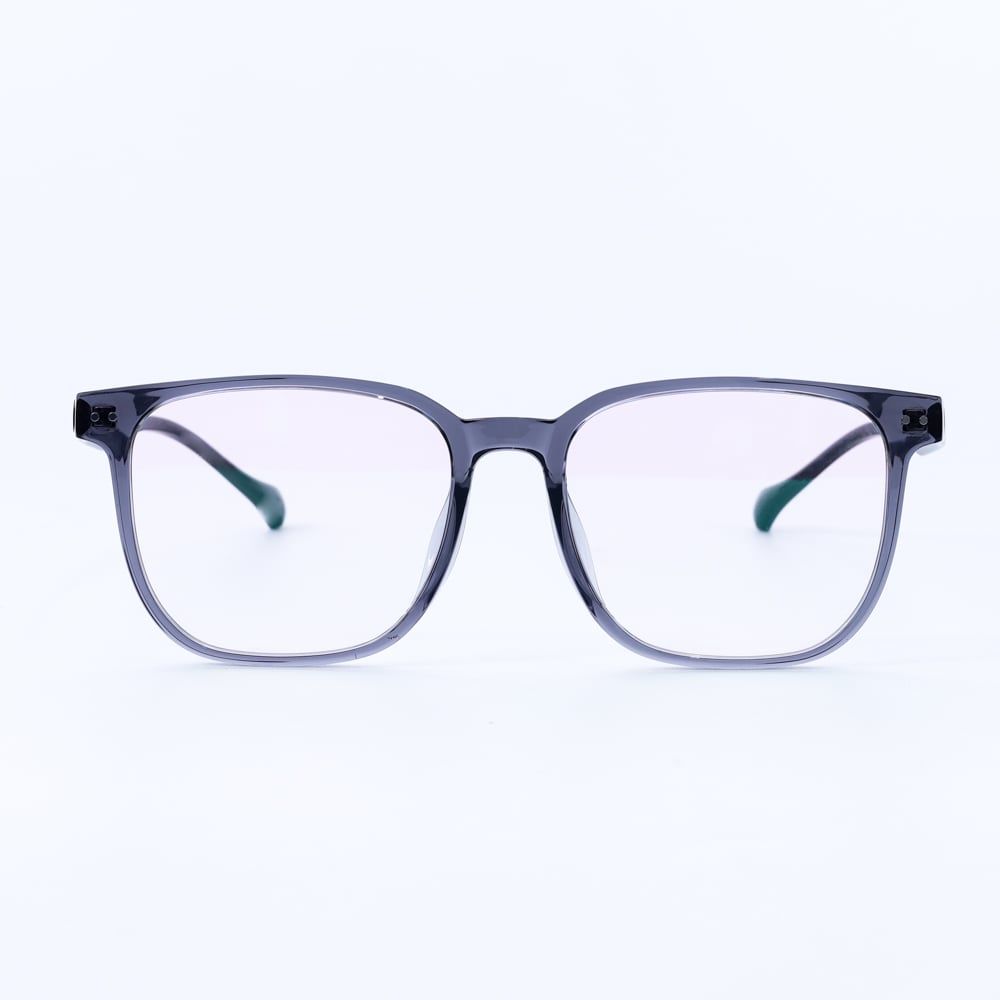 Gọng kính FLEXI FX5356