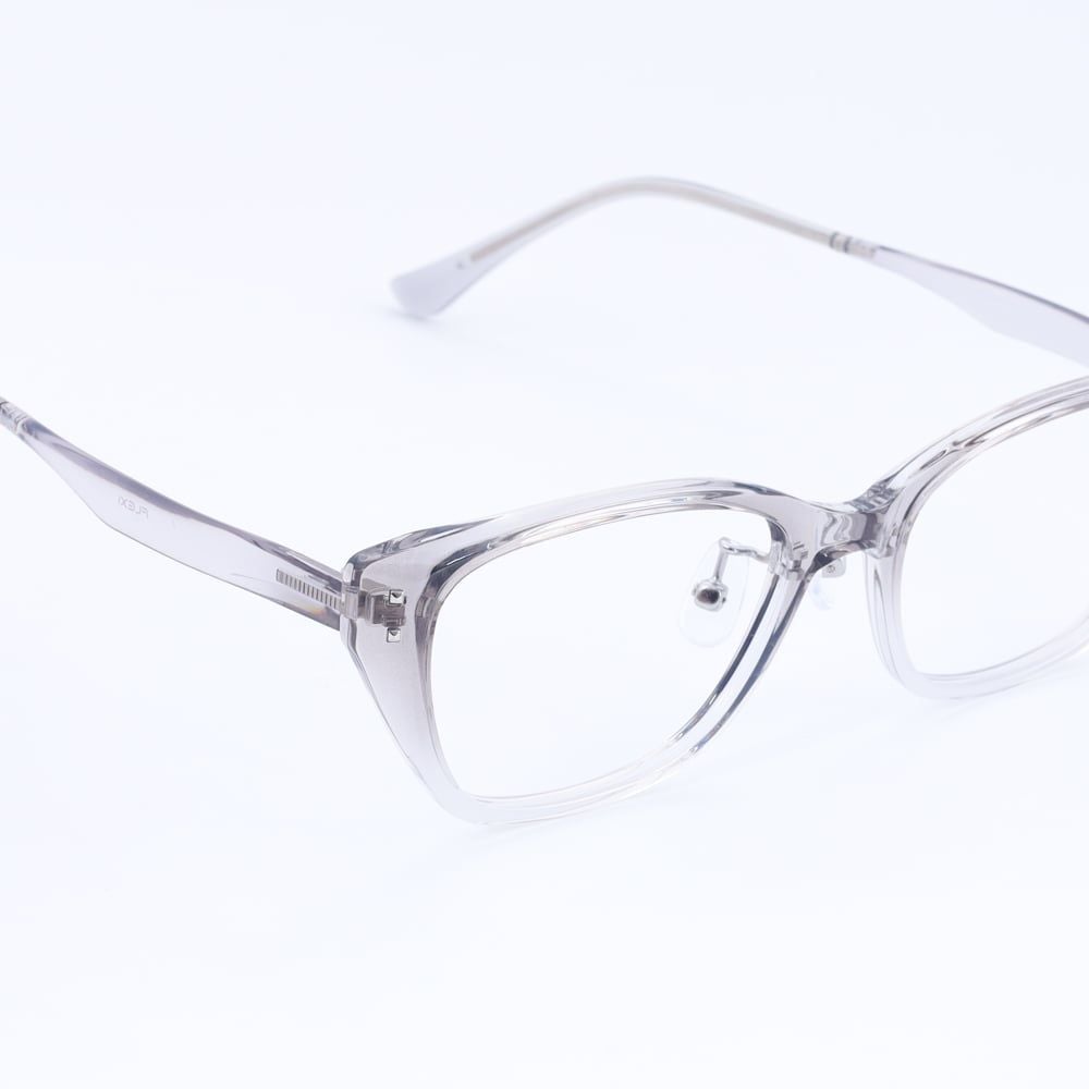 Gọng kính FLEXI FX5358