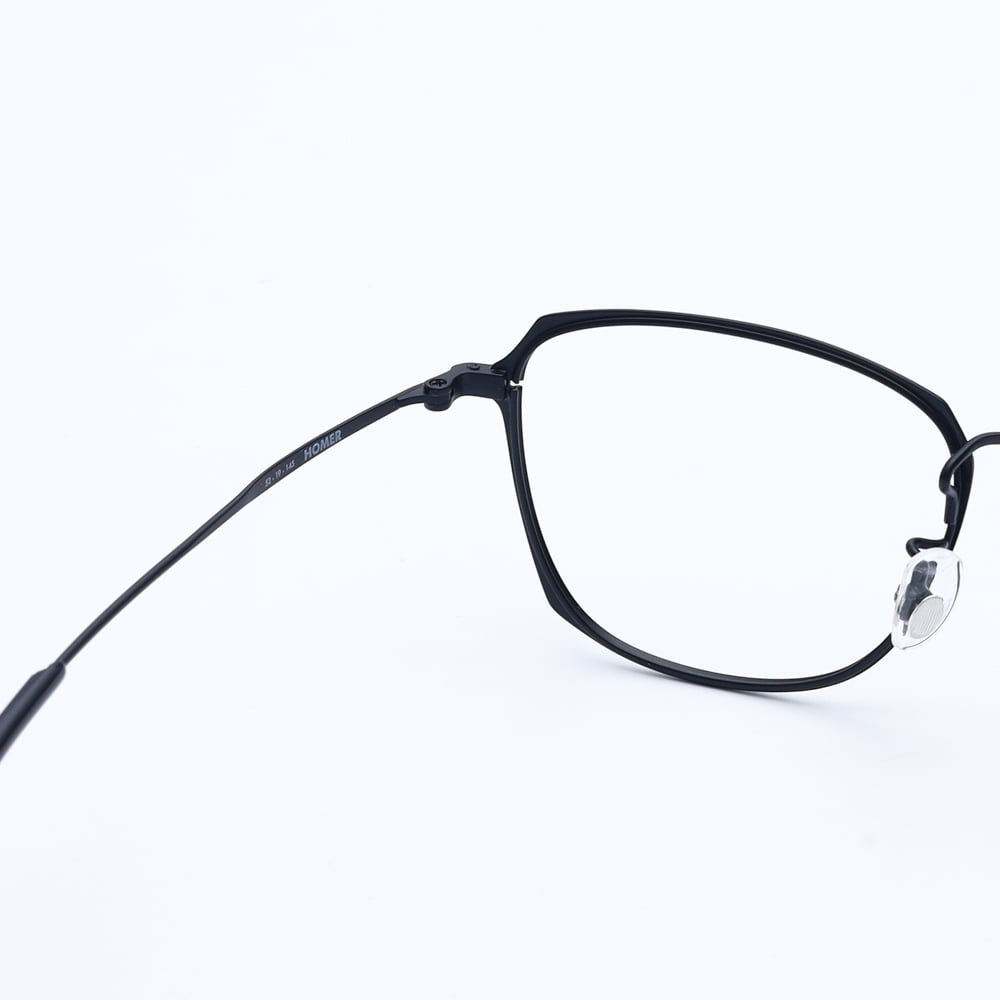 Gọng kính Avery Homer