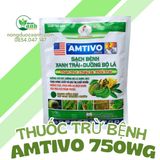  THUỐC TRỪ BỆNH AMTIVO 750WG 
