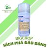  KÍCH PHÁ ĐẦU BÔNG BIGCROP 