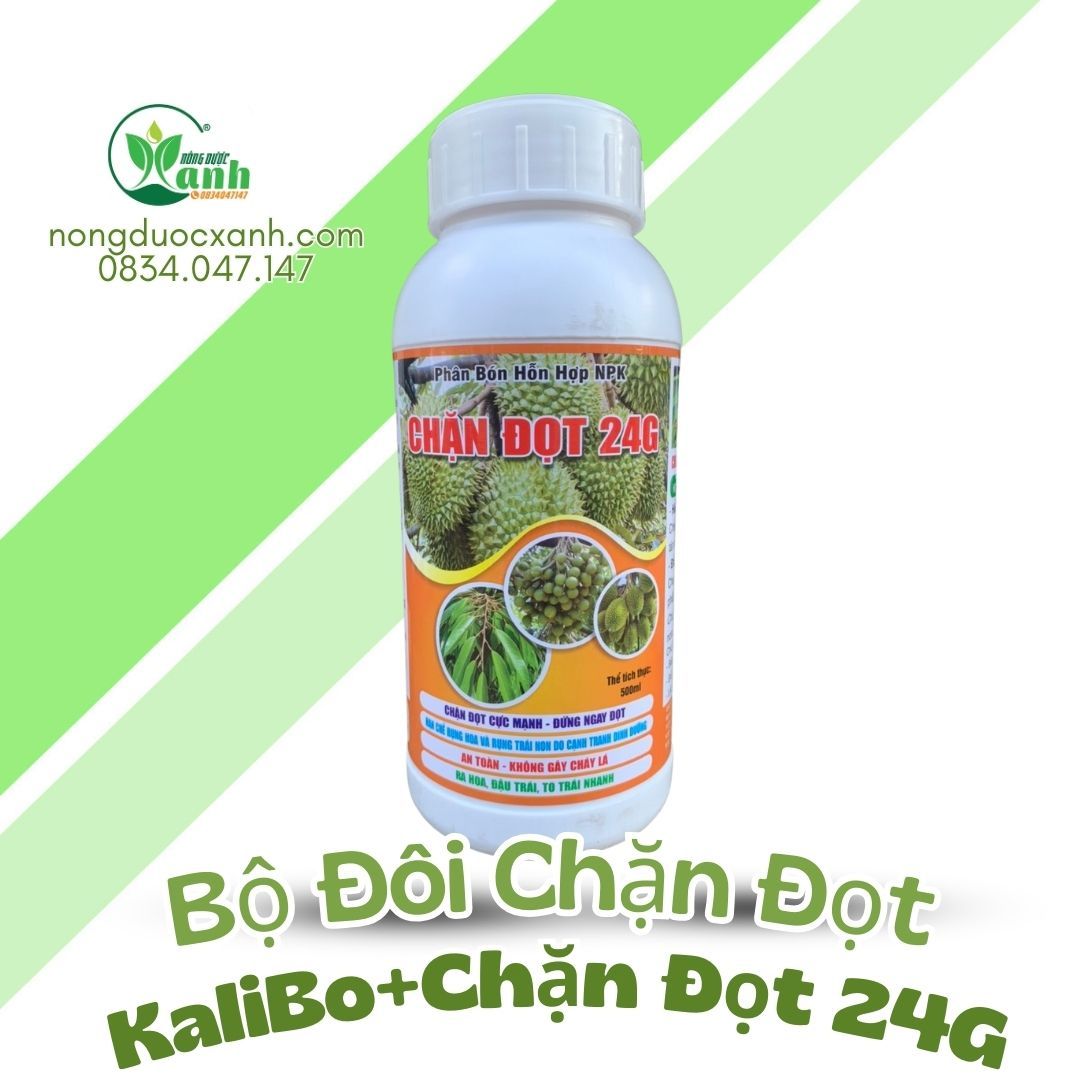  COMBO CHẶN ĐỌT KALIBO HỮU CƠ-CHẶN ĐỌT 24G 
