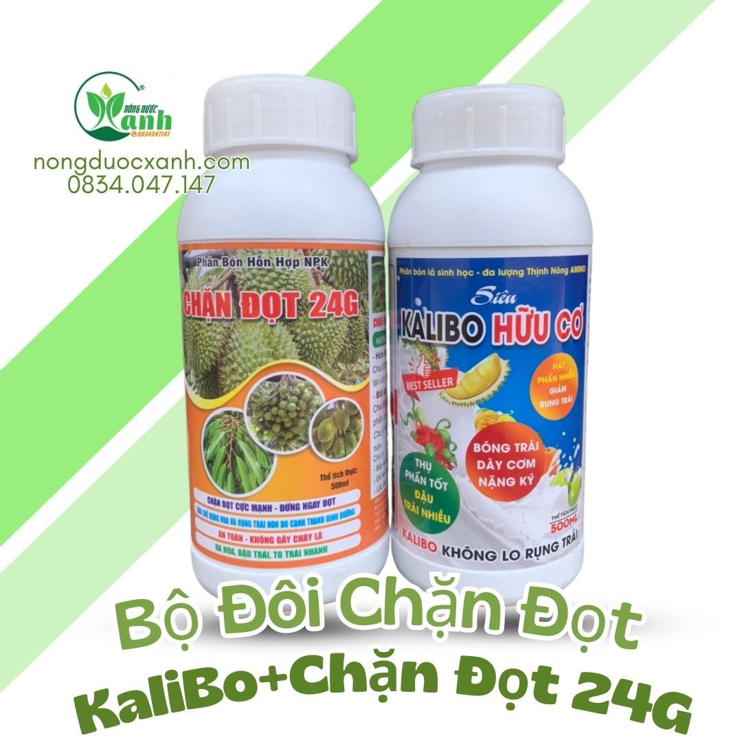  COMBO CHẶN ĐỌT KALIBO HỮU CƠ-CHẶN ĐỌT 24G 