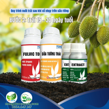  Combo Chống Sốc – Chống Rụng, Dưỡng Trái – Xanh Gai TDC 
