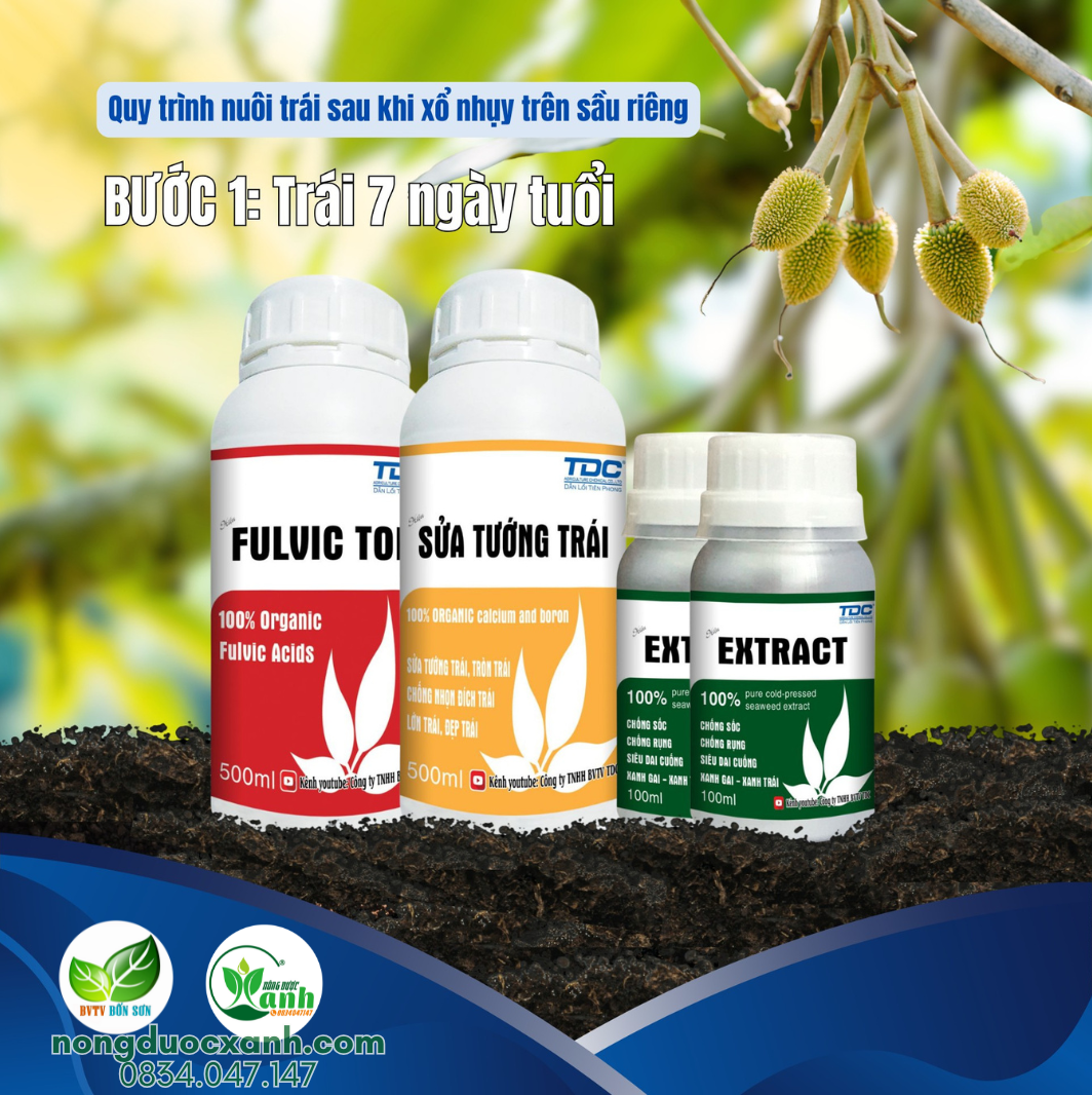  Combo Chống Sốc – Chống Rụng, Dưỡng Trái – Xanh Gai TDC 