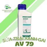  AV 79 SỬA TRÁI XANH GAI 