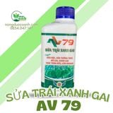  AV 79 SỬA TRÁI XANH GAI 