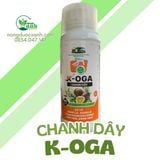  K-OGA CHANH DÂY 500ML 