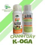  K-OGA CHANH DÂY 500ML 