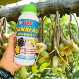  Canxi Bo Amino Hữu Cơ GAC - 5in1 