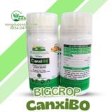  CANXI BO BIGCROP 320ML 