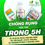  CHỐNG RỤNG TỨC THÌ – HIỆU QUẢ SAU 5H PHUN 