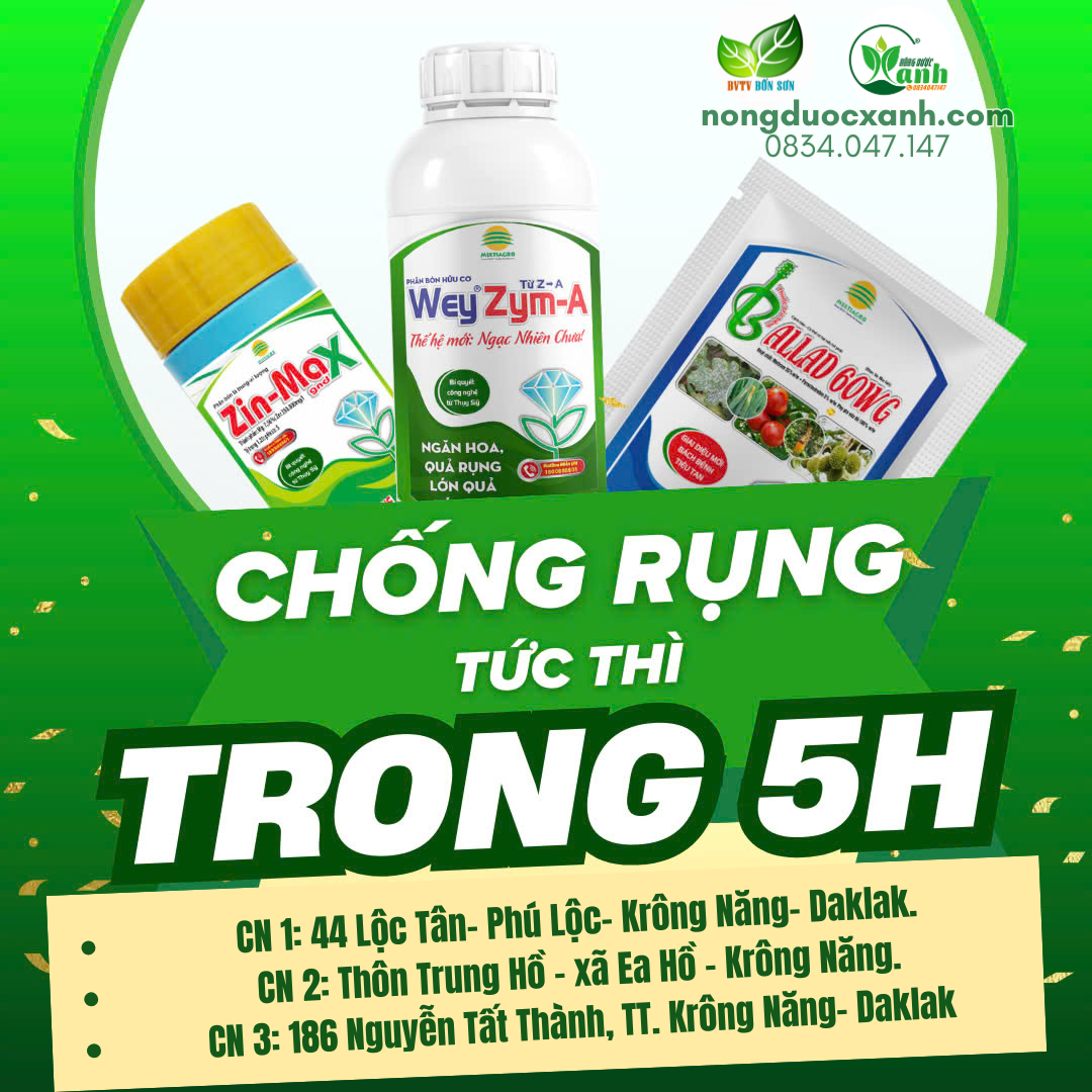  CHỐNG RỤNG TỨC THÌ – HIỆU QUẢ SAU 5H PHUN 