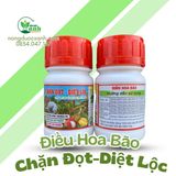  CHẶN ĐỌT - DIỆT LỘC 