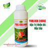  YONLOCK 240SC – Đặc trị nhện đỏ, rệp sáp kháng thuốc trên cây sầu riêng 