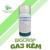  GA3 KẼM BIGCROP 