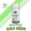  GA3 KẼM BIGCROP 