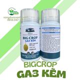  GA3 KẼM BIGCROP 