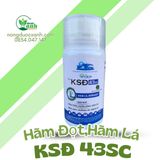  HÃM LÁ - HÃM ĐỌT KSĐ 43SC BIGCROP 