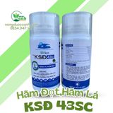  HÃM LÁ - HÃM ĐỌT KSĐ 43SC BIGCROP 